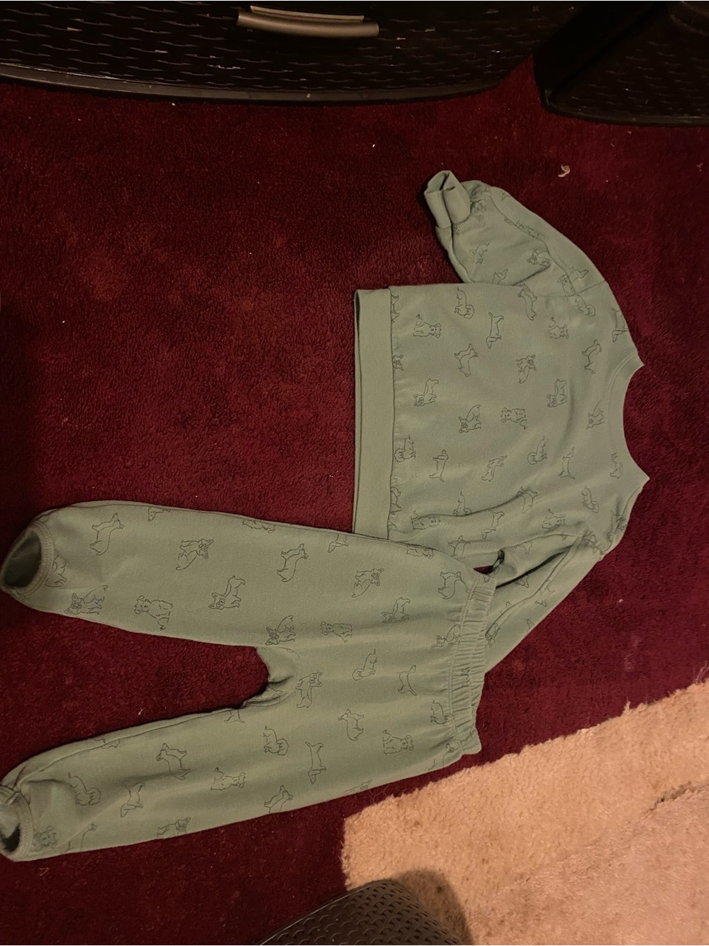 Cat & Jack Light Sage Green Animal Print Matching Set